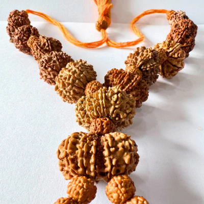 1 - 13 Mukhi Shiv Shakti Rudraksha Mala (Nepal Origin -20.00 mm) - Image 2