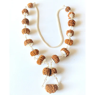 1 - 13 Mukhi Shiv Shakti Rudraksha Mala (Nepal Origin -25.00 mm) - Image 3