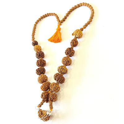 1 - 14 Mukhi Rudraksha Mala ( In Thread) - Image 3
