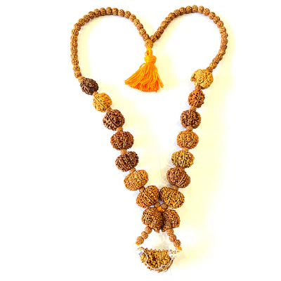 1 - 14 Mukhi Rudraksha Mala ( In Thread) - Image 4