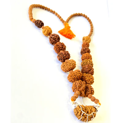 1 - 14 Mukhi Rudraksha Mala ( In Thread) - Image 5
