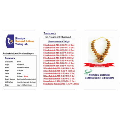 1 - 14 Mukhi Rudraksha Mala ( In Thread) - Image 6