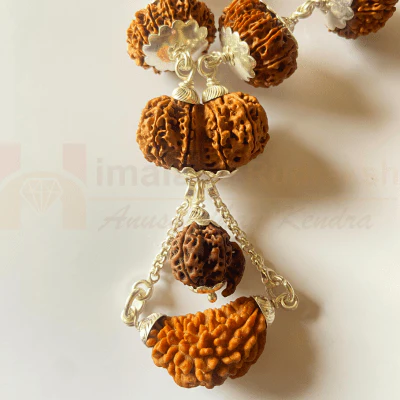 1-15 Mukhi Indra Rudraksha Mala (Nepal Origin- Collector Beads) - Image 3