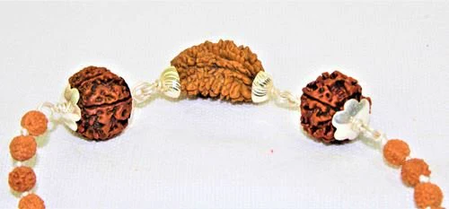 1 Mukhi Rudraksha Kawach - Image 3