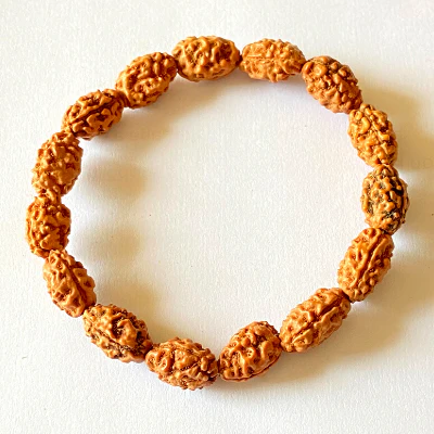 2 Mukhi Rudraksha Bracelet - Image 3