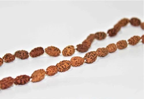 2 Mukhi Rudraksha Mala - Image 3