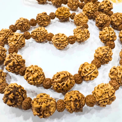 3 Mukhi Rudraksha Mala - Nepali - Image 3