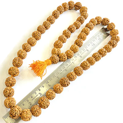 4 Mukhi Rudraksha Kantha - Nepali - Image 3