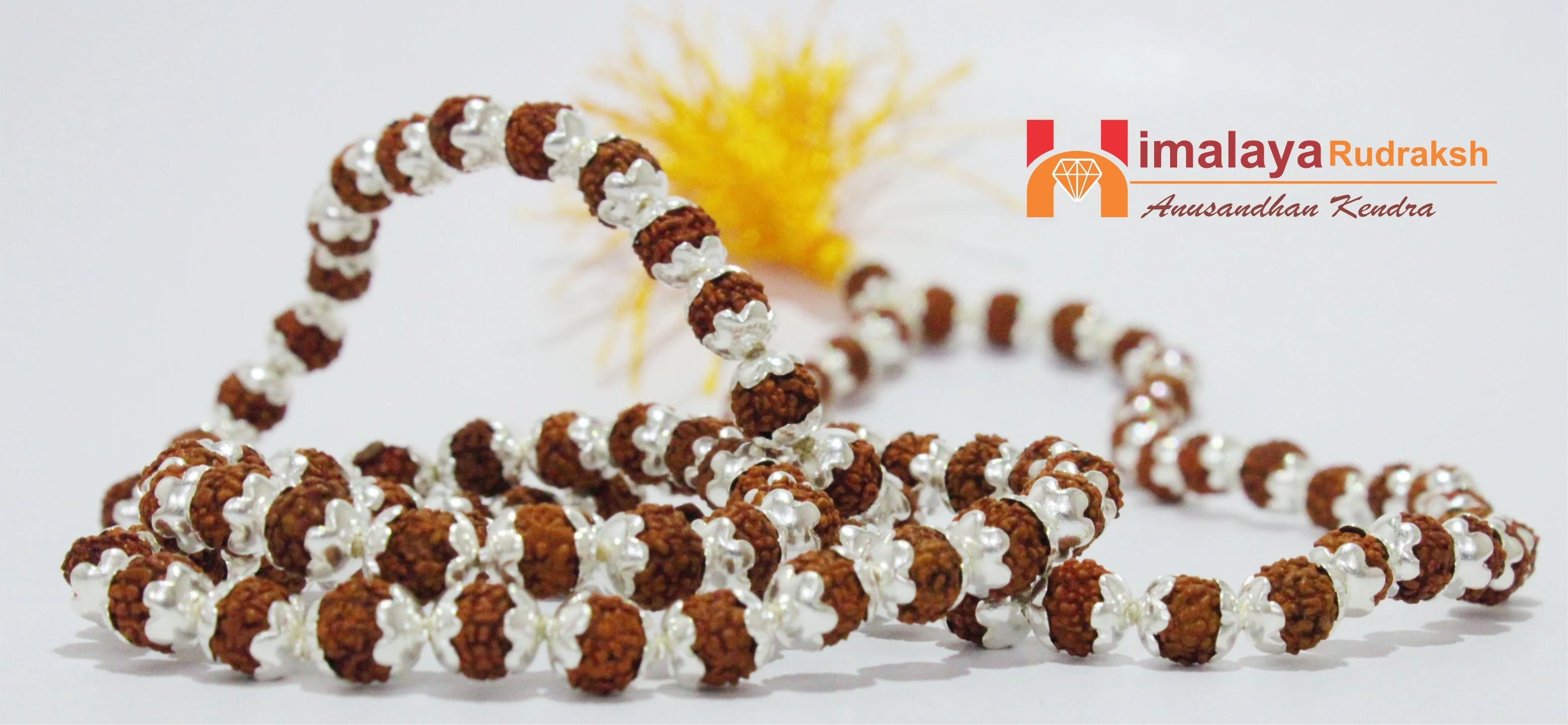 5 Mukhi Rudraksha Mala In Silver - Image 5