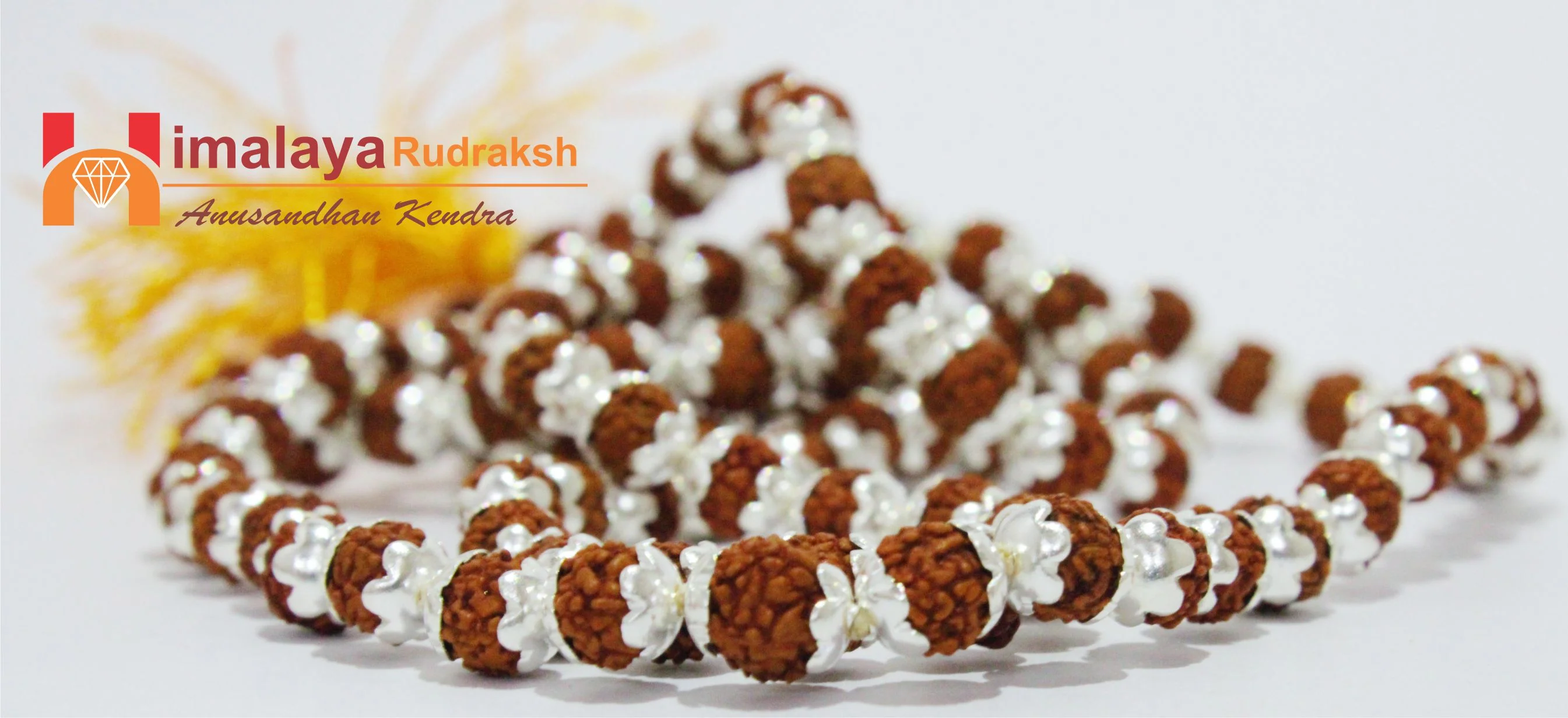 5 Mukhi Rudraksha Mala In Silver - Image 6