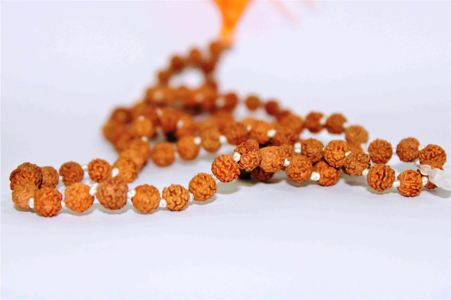 5 Mukhi/Face Rudraksha Mala - Image 6