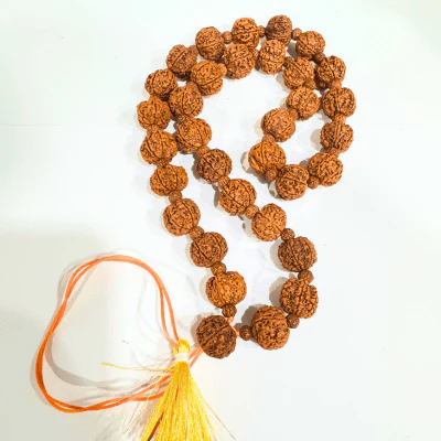 6 Mukhi Rudraksha Mala - Nepali - Image 4