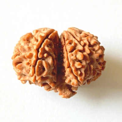 Antique Gauri Ganesh Shankar Rudraksha (Nepali Origin) - Image 3