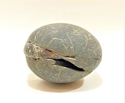 Divy Trishakti Shaligram (955 gm) - Image 3