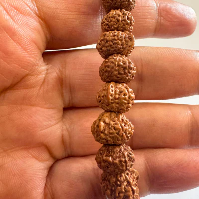 Ganesh Mukhi Rudraksha Bracelet - Image 3