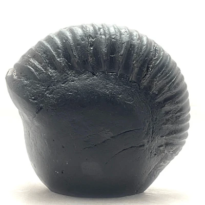Ganesha Carved Shaligram - Image 3