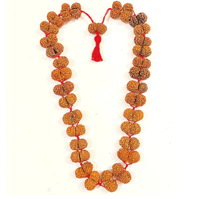 Gaurishankar Rudraksha Kantha (Nepal Origin) - Image 4