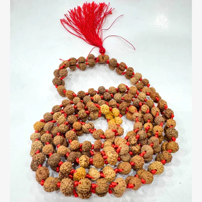 Gaurishankar Rudraksha Mala (Indonesian Origin- 108+1 beads) - Image 2