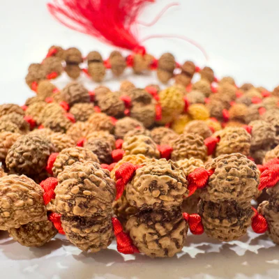 Gaurishankar Rudraksha Mala (Indonesian Origin- 108+1 beads) - Image 3