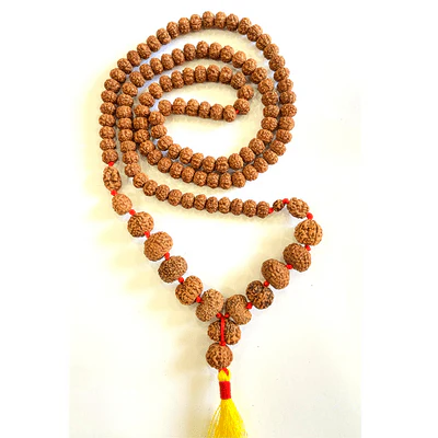 Indonesian 1 - 14 Mukhi Rudraksha Mala - Image 4