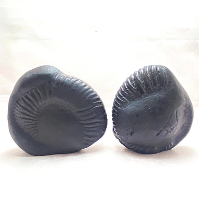 Lakshmi Ganesha Carved Shaligram - Image 3