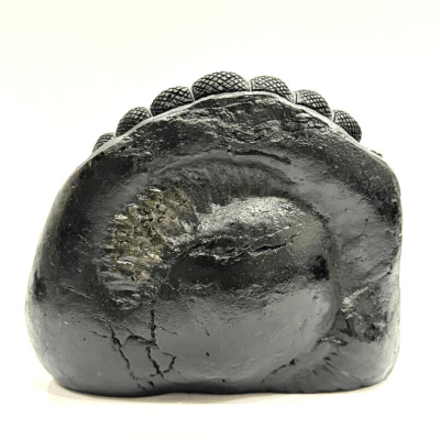 Lakshmi Narsima Carved Shaligram - 640 grams - Image 3