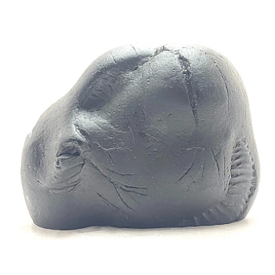Lakshmi Vishnu Carved Shaligram - Image 3