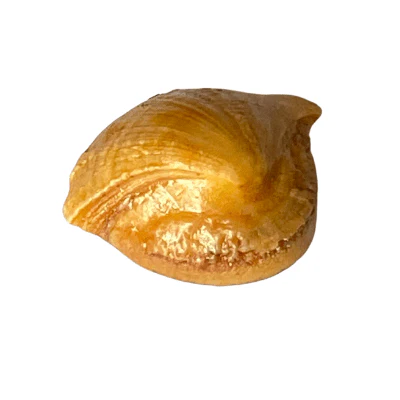 Machmani - 10.85 carat - Image 3