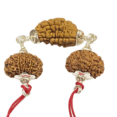 Narayan Rudraksha Kawach - Image 2