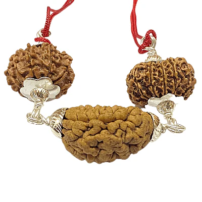 Narayan Rudraksha Kawach - Image 3
