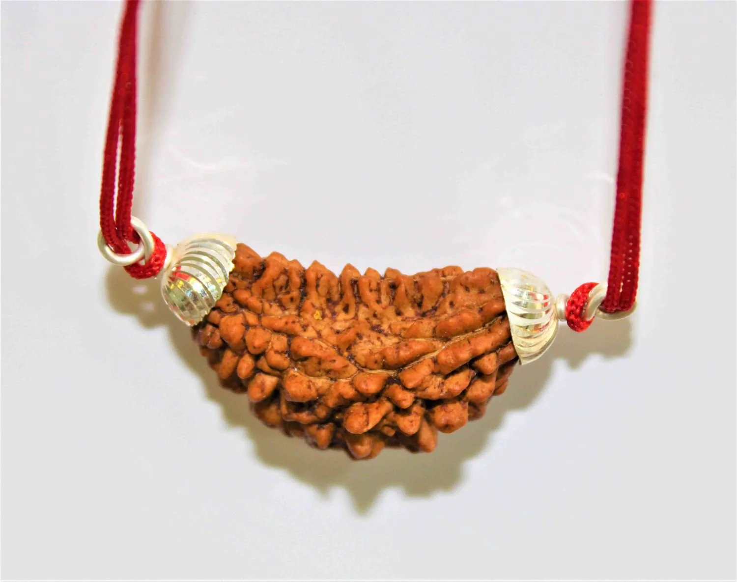 Natural 1 Face/Mukhi Rudraksha - Image 4
