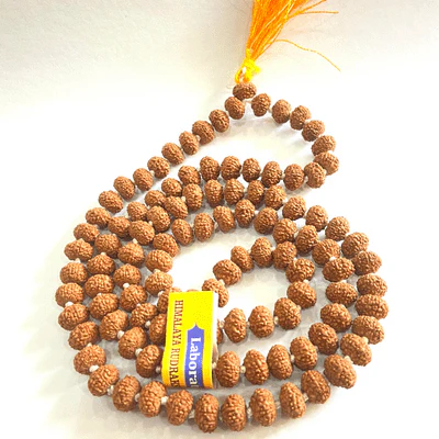 Natural 10 Mukhi Rudraksha Mala (108 +1 Beads) - Indonesian - Image 3