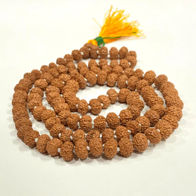 Natural 11 Mukhi Rudraksha Mala |108 +1 Beads - Image 3