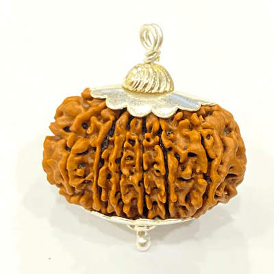Natural 15 Mukhi Rudraksha (Nepal Origin- 30 mm apx) - Image 3