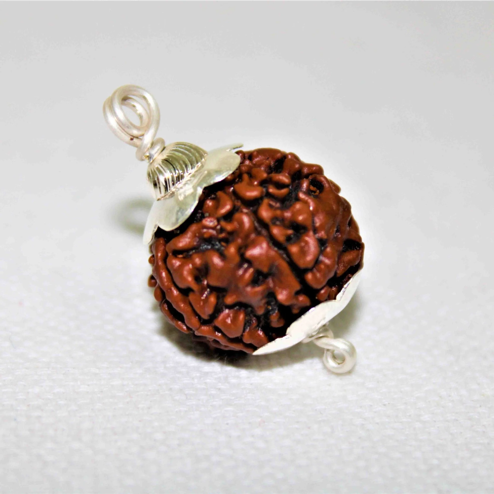 Natural 6 Mukhi/Face Rudraksha (Nepal Origin) - Image 3