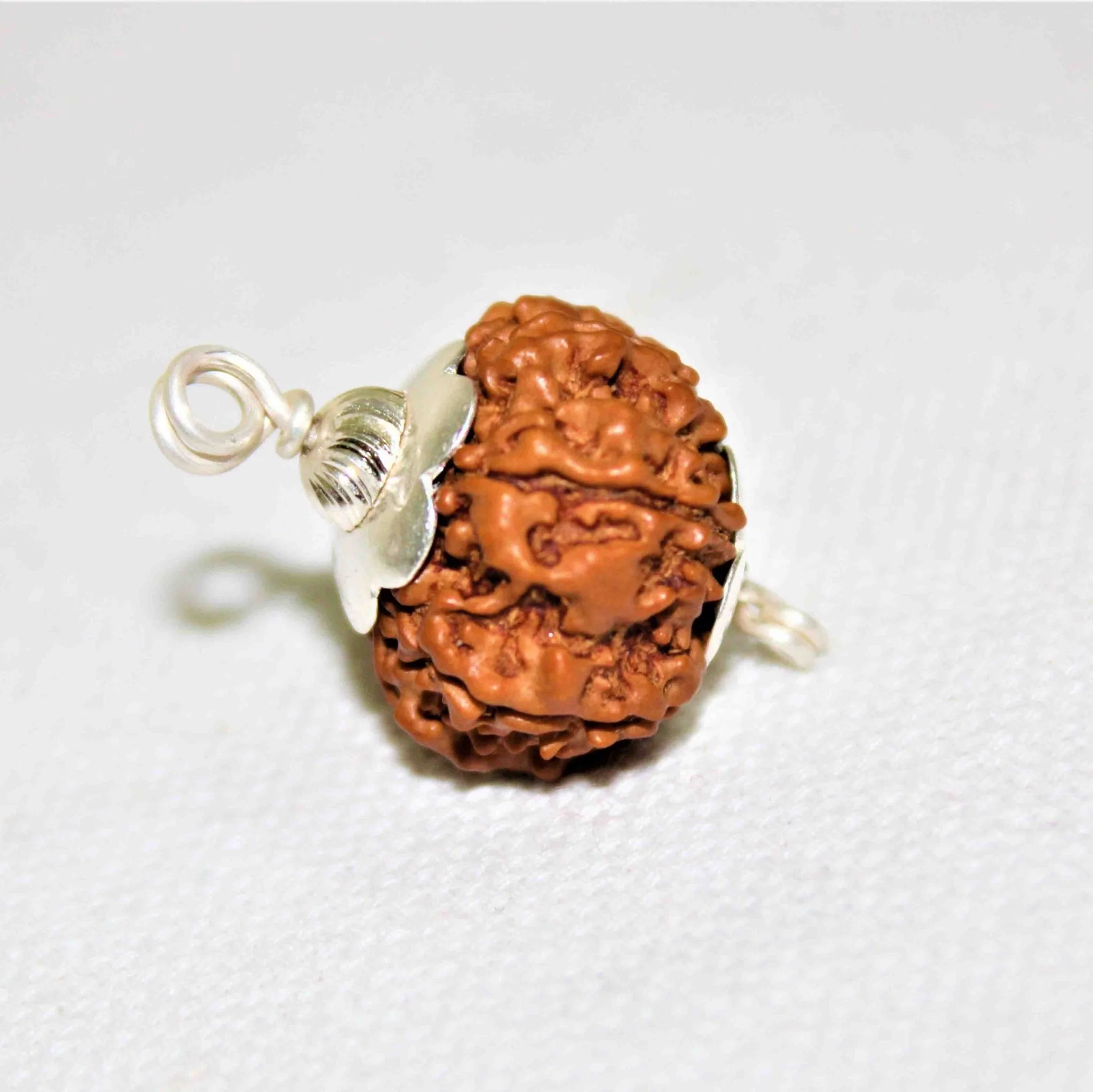 Natural 7 Mukhi Rudraksha (Nepal Origin- 19.00 mm) - Image 3