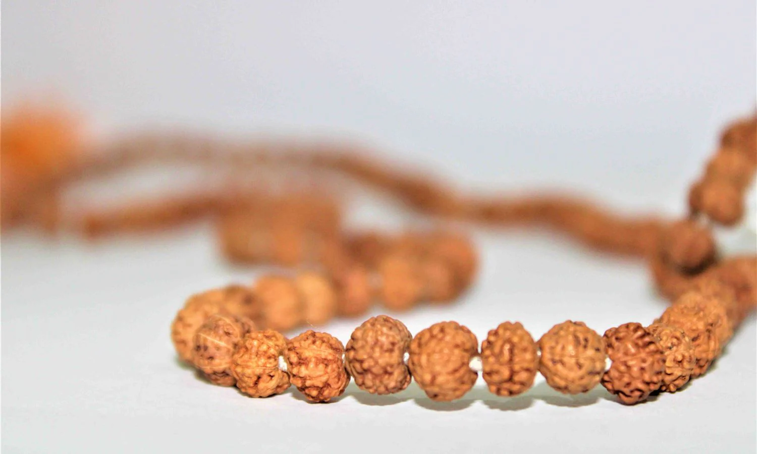 Natural 7 Mukhi Rudraksh Mala -Indonesian Origin  (108+1) Beads - Image 3
