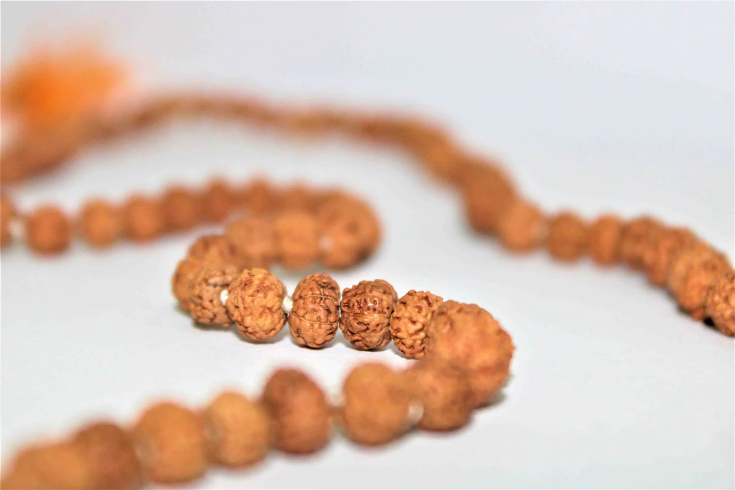 Natural 7 Mukhi Rudraksh Mala -Indonesian Origin  (108+1) Beads - Image 6