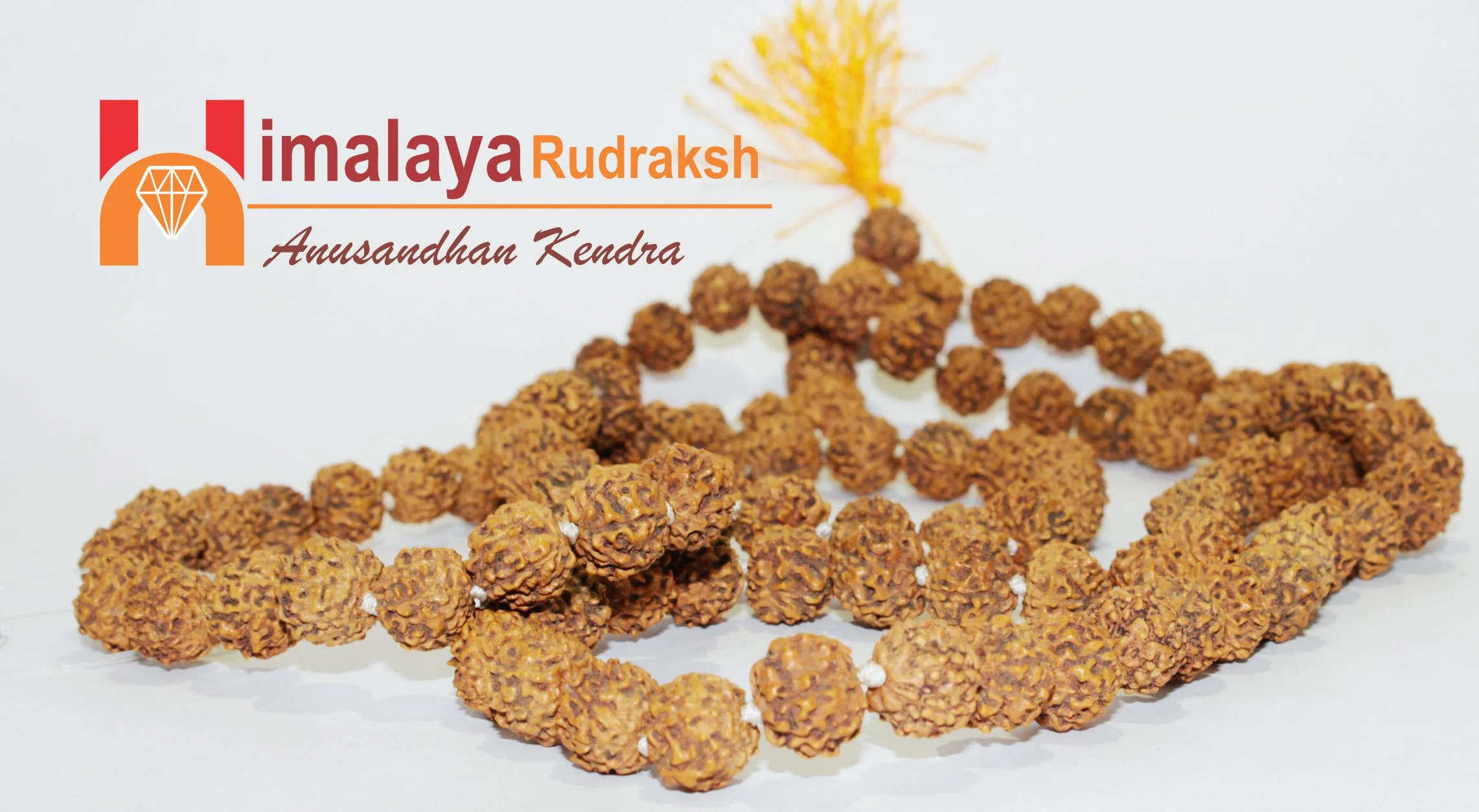 Natural 7 Mukhi Rudraksh Mala -Indonesian Origin  (108+1) Beads - Image 7
