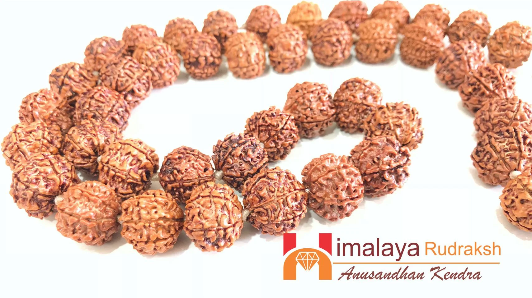 Natural 7 Mukhi/Face Rudraksh Mala (Nepal Origin) - Image 3