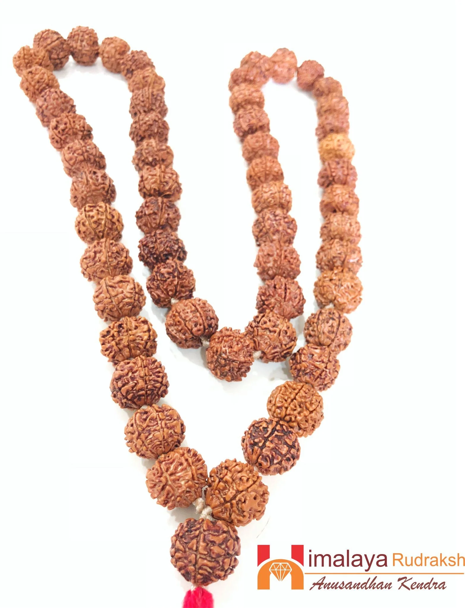 Natural 7 Mukhi/Face Rudraksh Mala (Nepal Origin) - Image 4