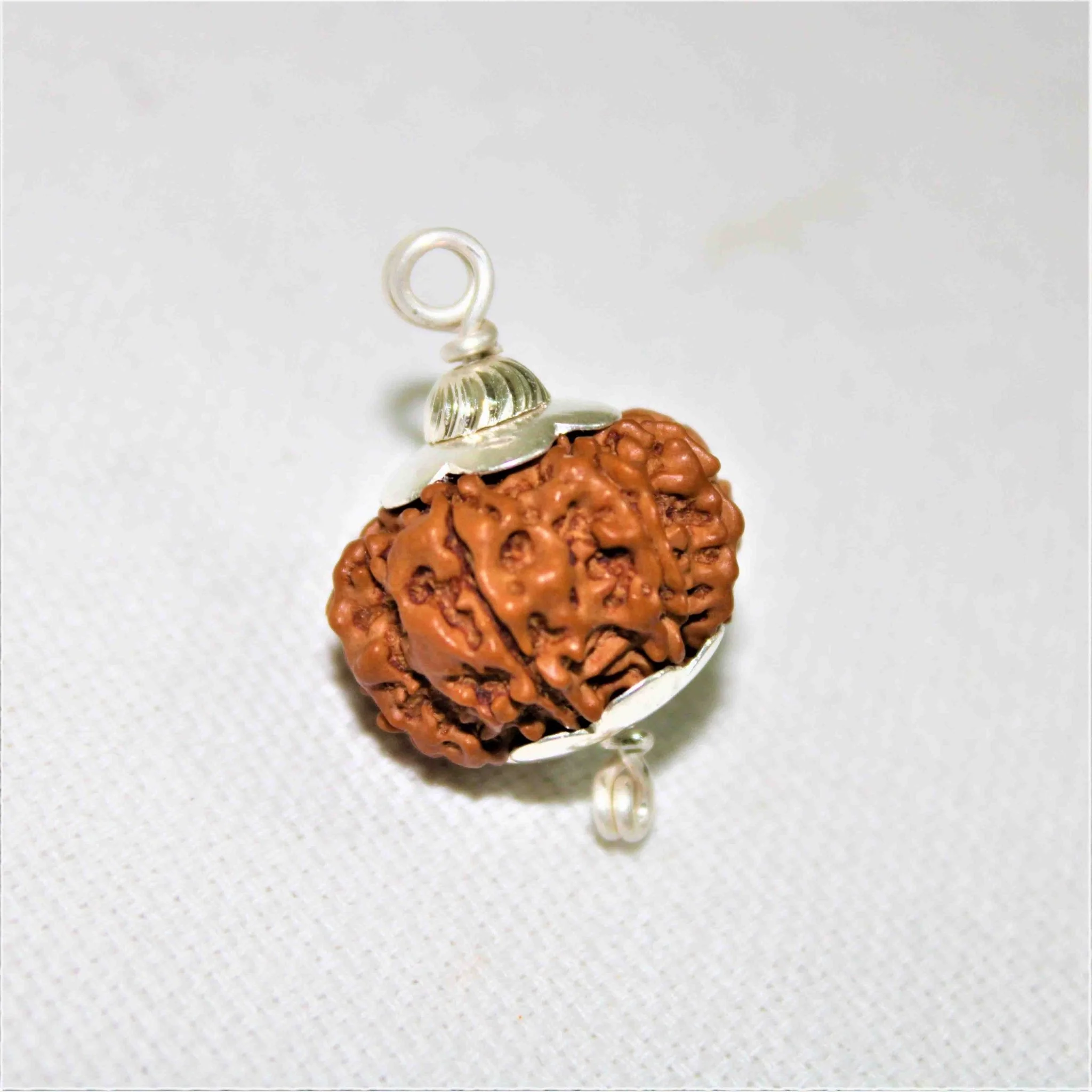 Natural 8 Mukhi/Face Rudraksha (Nepal Origin) - Image 3