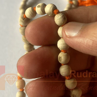 Natural Tulsi mala - Image 3