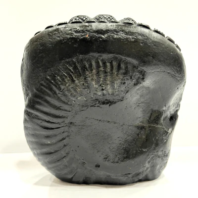 Shree Ram Darbar Carved Shaligram - 528 grams - Image 3