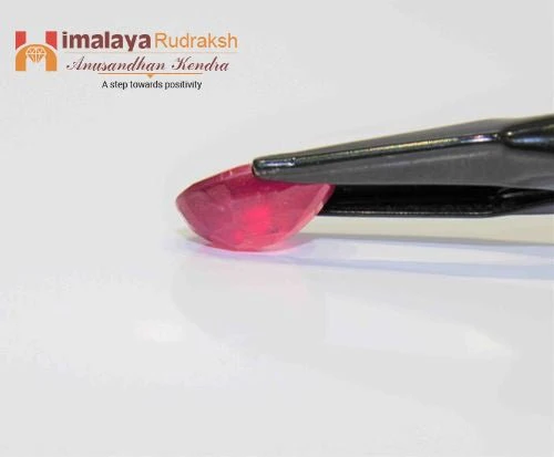 Ruby (Manik) - 15.90 cts - Image 3