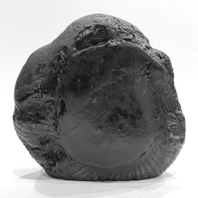 Shree Balaji Carved Shaligram - 503 Grams - Image 4
