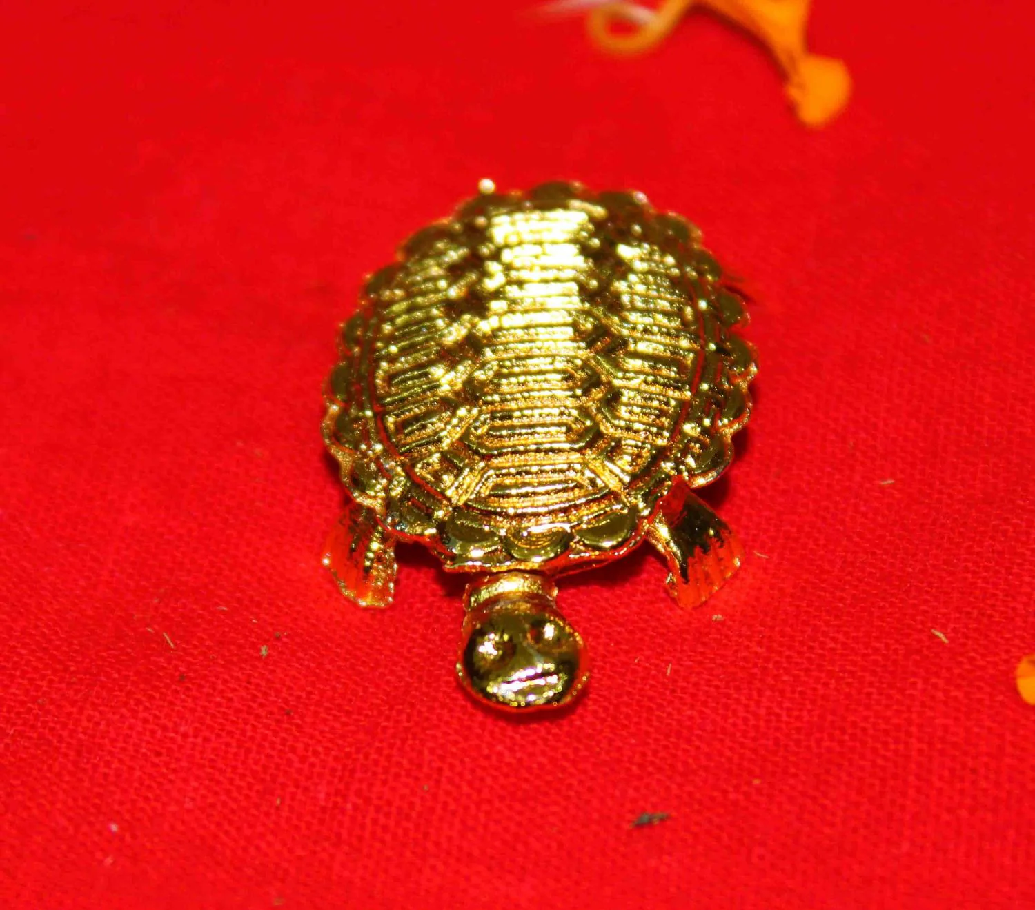 Lakshmi Poojan Collection - Image 12