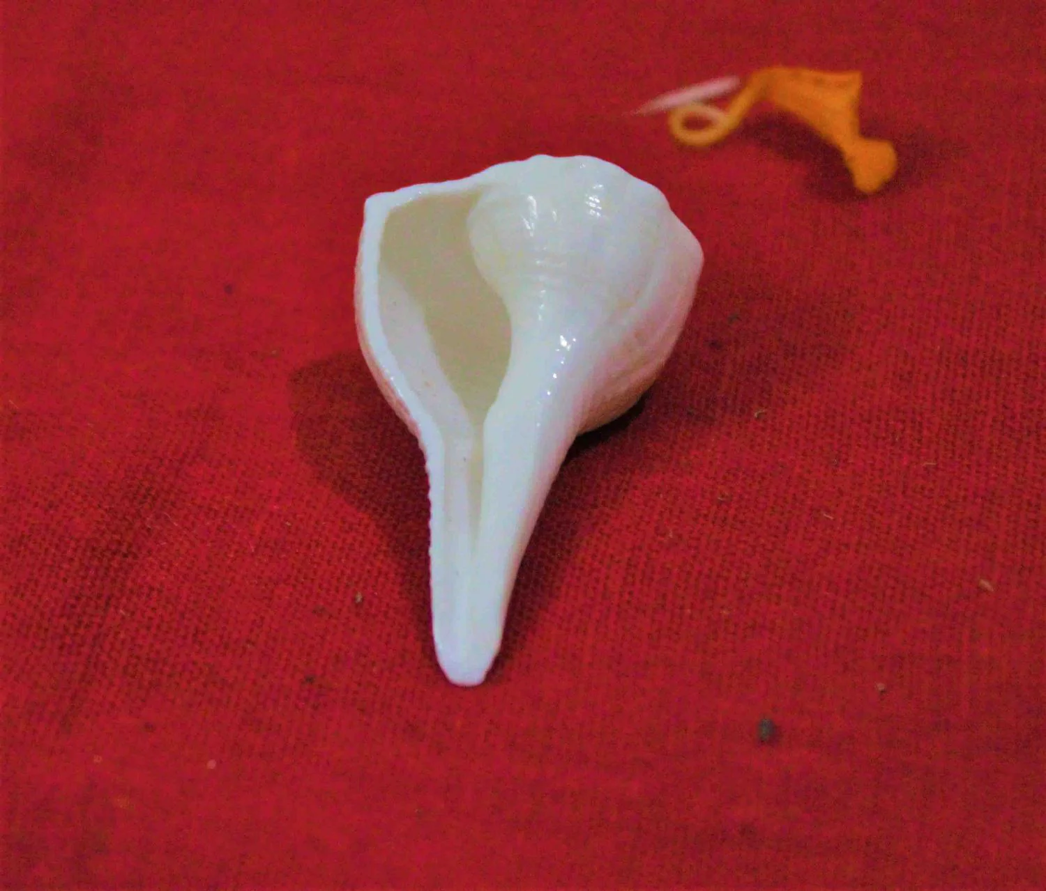 Lakshmi Poojan Collection - Image 13