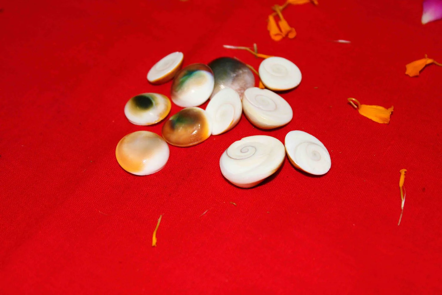 Lakshmi Poojan Collection - Image 14