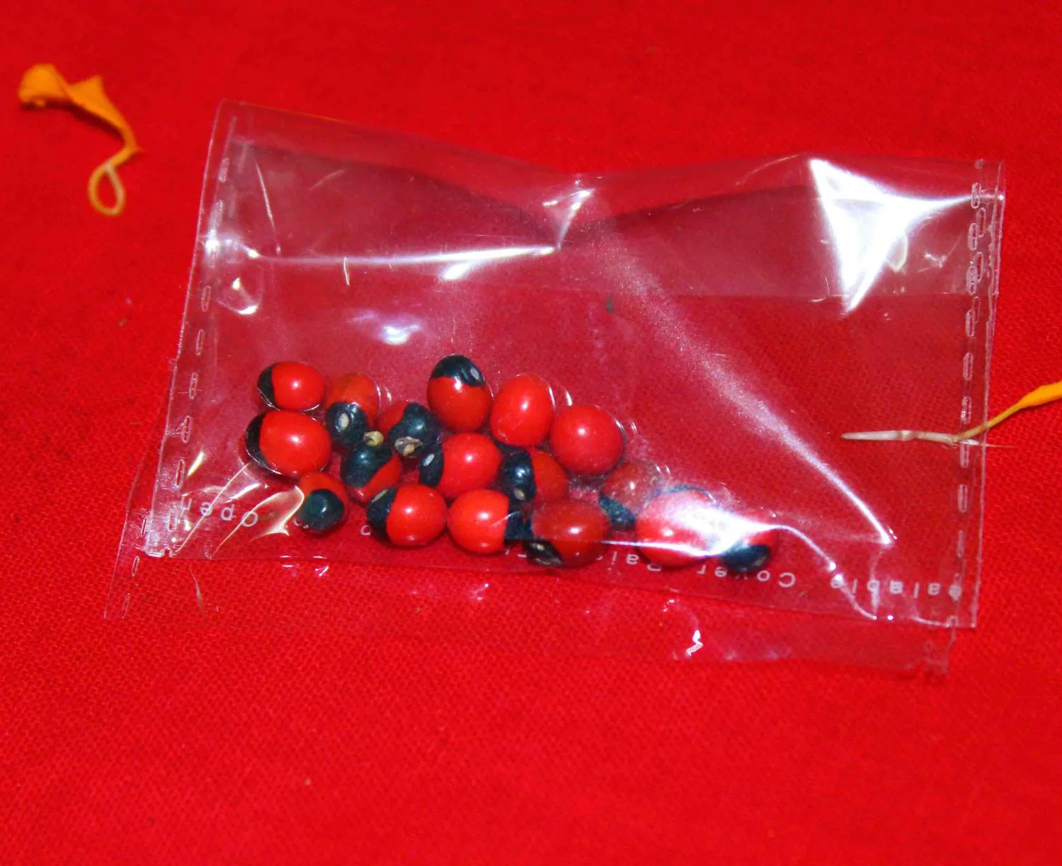 Lakshmi Poojan Collection - Image 15